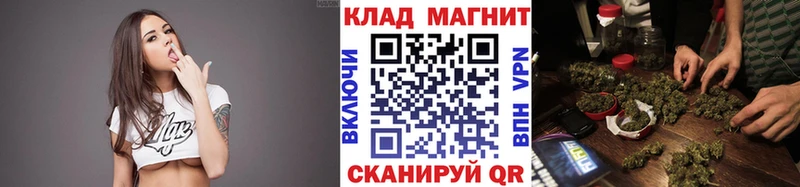 Где купить наркотики Элиста Cocaine  Героин  ГАШ  Мефедрон  СК  Псилоцибиновые грибы 