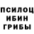 Псилоцибиновые грибы ЛСД Nasib Abdurahimov