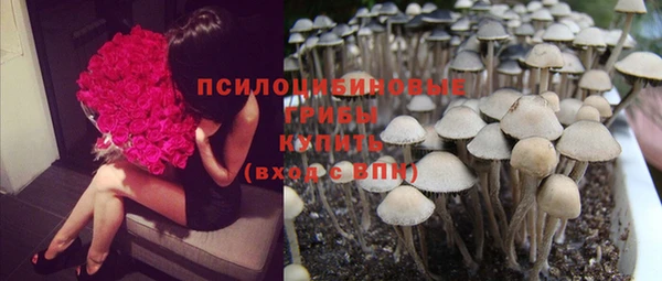 мет Магас