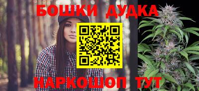 стаф Заводоуковск