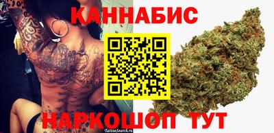 стаф Заводоуковск