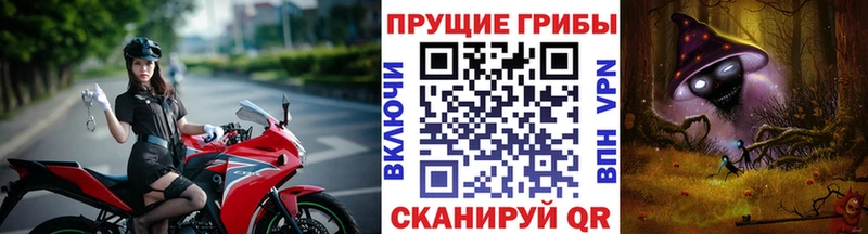 купить наркотики цена  Элиста  ОМГ ОМГ ссылка  Псилоцибиновые грибы MAGIC MUSHROOMS 