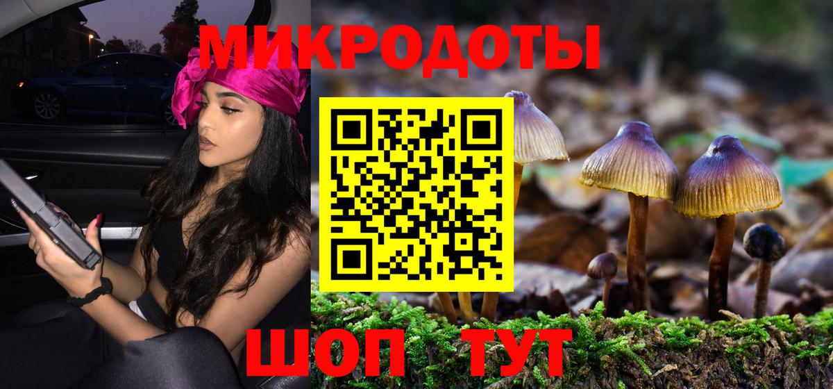 наркотики  Вход с VPN  Элиста  Псилоцибиновые грибы Magic Shrooms 