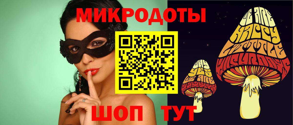 Псилоцибиновые грибы Psilocybe Элиста